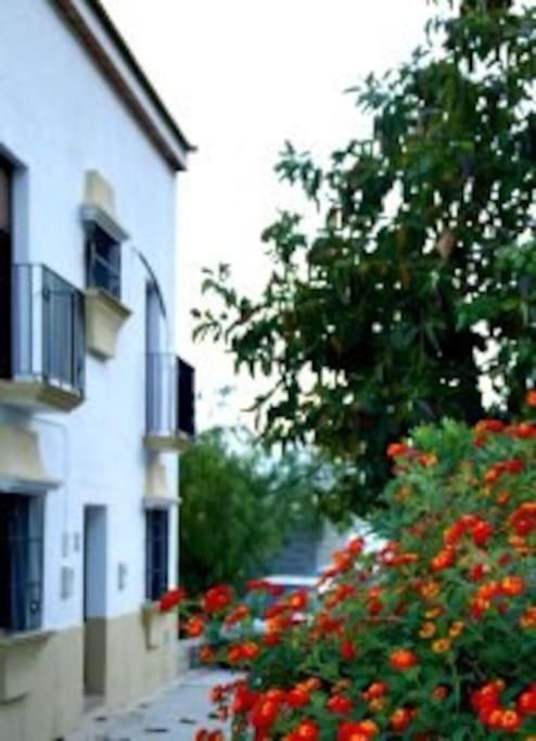 Eagles Nest - Massive Townhouse With Pool With Outstanding Views Villa Algodonales Eksteriør bilde